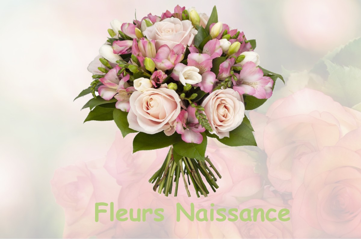 fleurs naissance FRESNES-AU-MONT