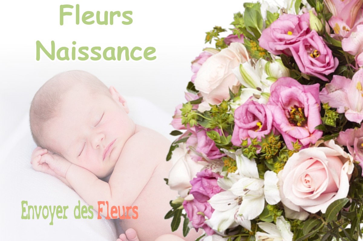 lIVRAISON FLEURS NAISSANCE à FRESNES-AU-MONT